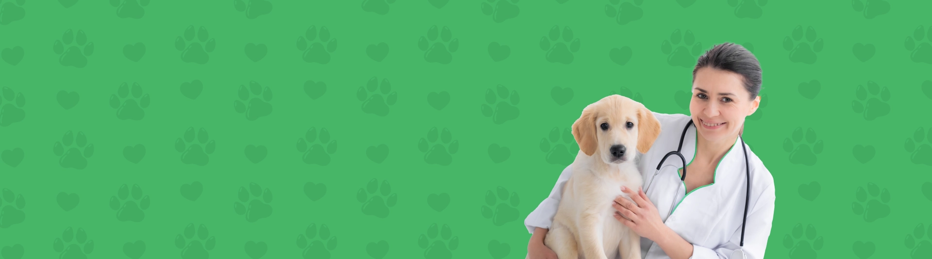 Clinica Veterinaria Lovely Dog